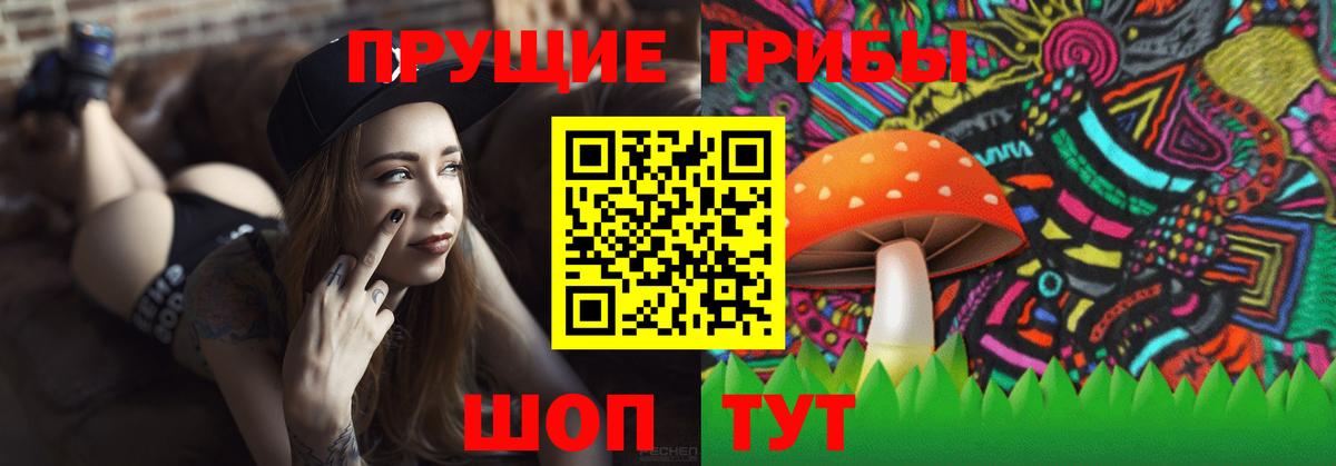 Псилоцибиновые грибы Magic Shrooms  Вход с VPN  Галлюциногенные грибы GOLDEN TEACHER  Уварово 